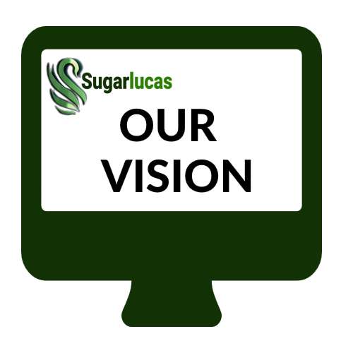 Our Vision